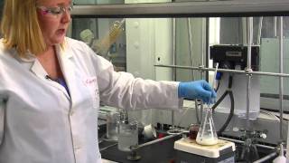 Cholesterol Lab Part 1