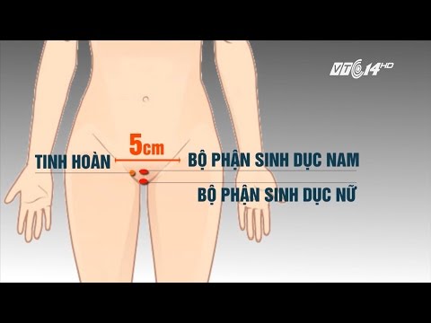 Video (VTC14)_Cô gái có 2 bộ phận sinh dục được trả lại giới... - youtube