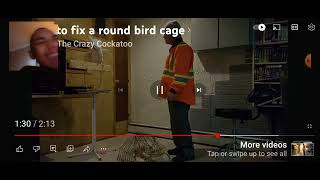 How to fix a round bird cage  (reaction) I was laughing so hard it was so hilarious 🤣🤣🤣🤣