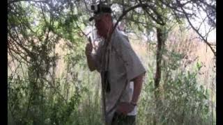 Impala Hunt - Impala Jakt