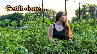 GARDEN VLOG I Can I get it all done? Making a *Florida weave* + Starting a *corn garden*! #nodig