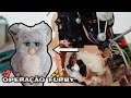 TUTORIAL de Como Consertar o Mecanismo do Furby 2005 🪛 Bocas e Olhos que não mexem