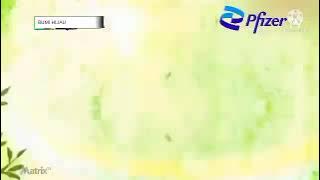Opening Bumi Hijau 2021 Pfizer TV