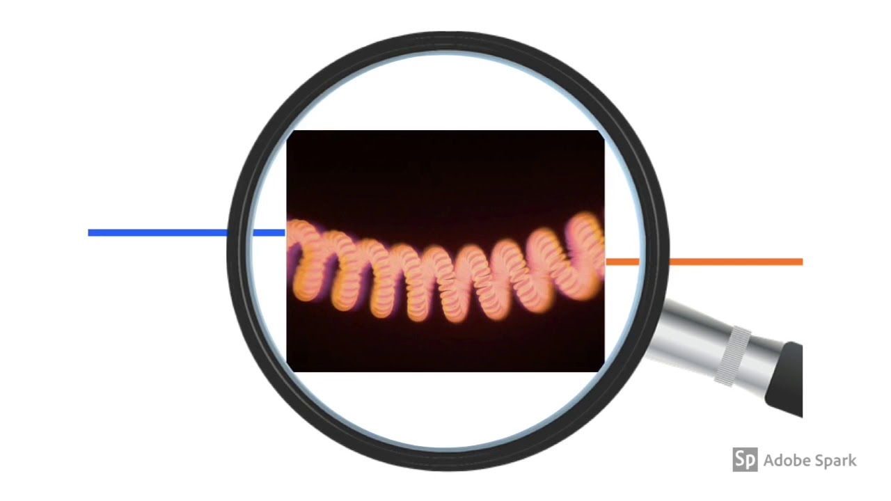 Lampadina a incandescenza