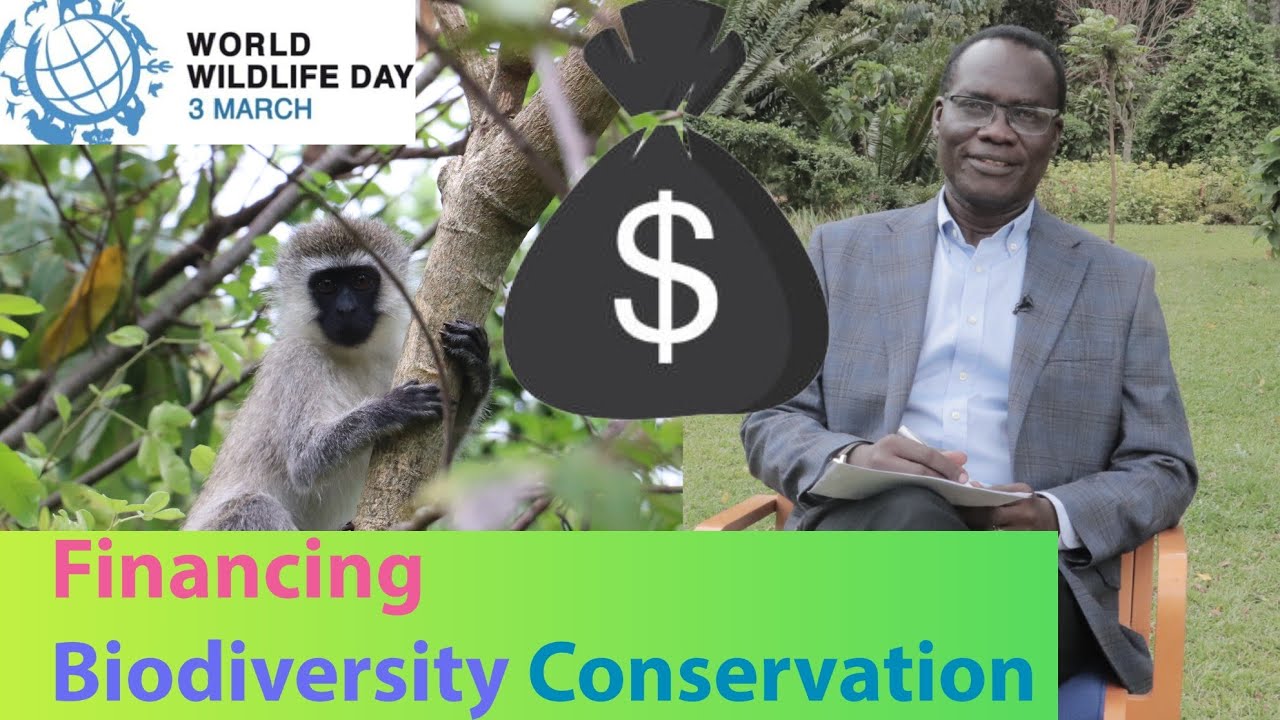 IUCN Regional Director on Africa’s Conservation Funding Crisis