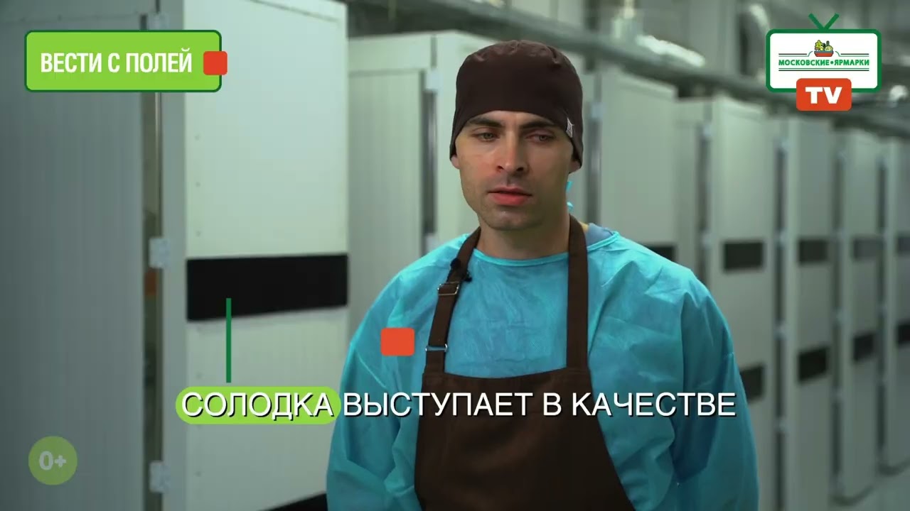 Хрустящая пастила Sattva