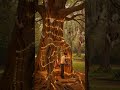 #diyhouse #ecoliving #epoxyriver #luxurystairs #foresthome #epoxystaircase #islandlife #bushcraft