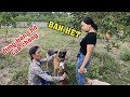 Quyết Định Bán Hết Cả Đàn Chó Của Săn Bắt Ẩm Thực Vùng Cao| Tường Vy Vlog