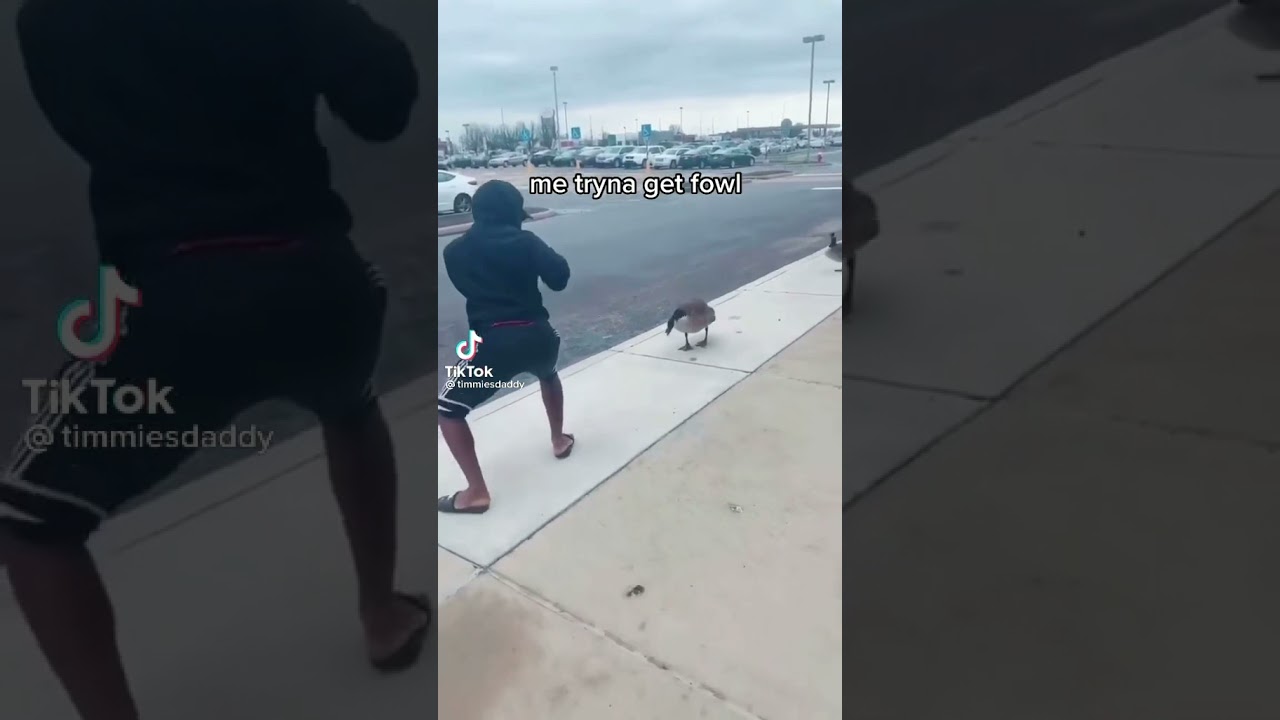 Man FIGHTS A Goose IN FRONT OF Target