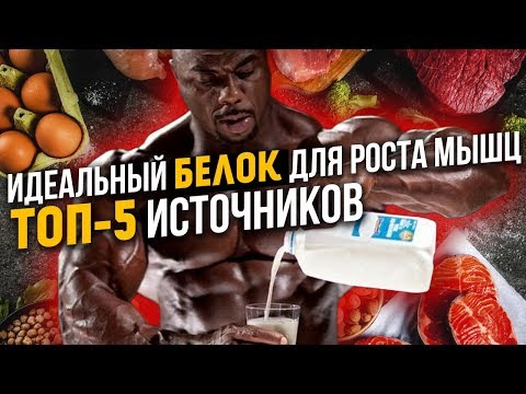 ЛУЧШИЕ БЕЛКОВЫЕ ПРОДУКТЫ / ПРОТЕИН, АМИНОКИСЛОТЫ