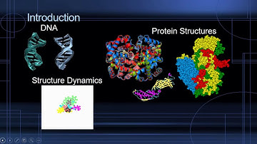 Structural Bioinformatics Basics - Udemy Course