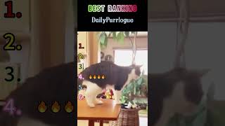 Mana yang menjadi favoritmu?#hewanlucu #videolucu #petsindonesia #hewanimut #viralhewan