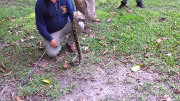 FWC Python training