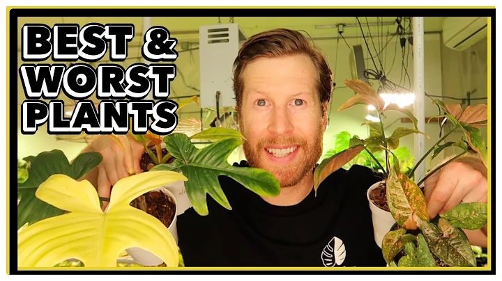 BEST and WORST RARE Plants for Beginners