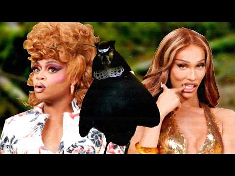 Heidi and Kerri react to unusual dating rituals from nature