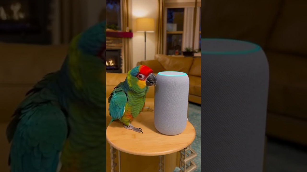 Papagai Arguing With Alexa 😂🦜 