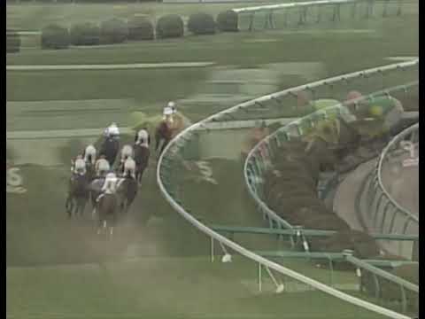 ライスシャワー 1994年 第42回日経賞(GII) (優勝馬：ステージチャンプ)