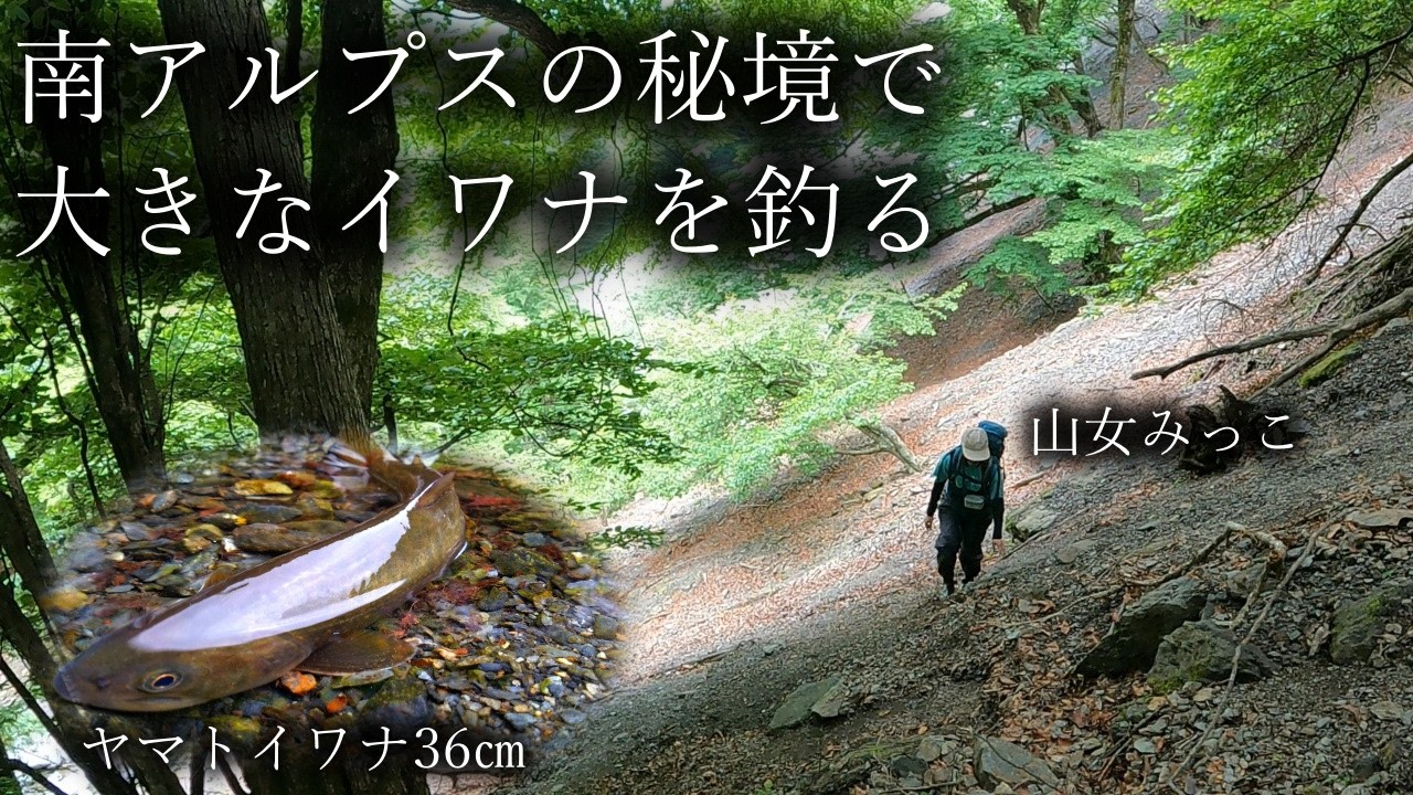 「山女みっこ」深い森の源流で大きなヤマトイワナを釣る｜Japanese Mountain Fishing