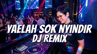 YAELAH SOK NYINDIR DJ REMIX 