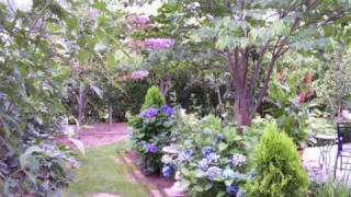 Planning a Cottage Garden