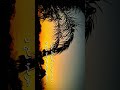 Sham ka rang bata raha hai… 💔🌅 | Shot on iPhone 16 Pro Max | Cinematic Sunset”