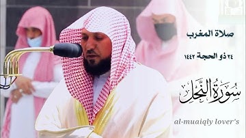 كرد يأسر قلبك من الشيخ ماهر المعيقلي -أواخر سورة النحل _ صلاة المغرب 24 ذو الحجة 1442 |
