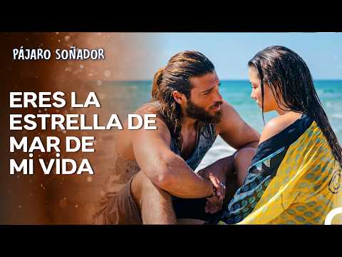 La Historia Del Albatros #40 - Pájaro Soñador