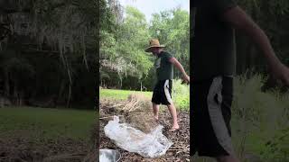 Seed saving rage room #chaosgarden #seedsaving #rageroom #chaosgardening