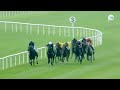 2024 達德素金盃 Tattersalls Gold Cup 高樺勝雪 White Birch