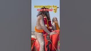 Maha Kumbh 2025 🔱 Naga Sadhu mahakumbh prayagraj main | Kumbh Mela #shorts #mahakumbh2025 #prayagraj