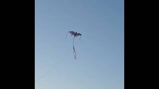 Flying some kites in Tulsa, Oklahoma