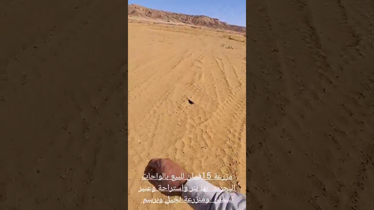 مزرعة 15 فدان للبيع كاملة المرافق بير وطاقة واستراحة ومعلف للبيع بالواحات البحرية 01090855418