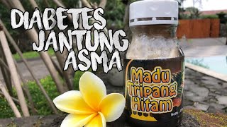 Review Jujur manfaat madu hitam tripang ginjal diabetes jantung HUB WA 08156520589