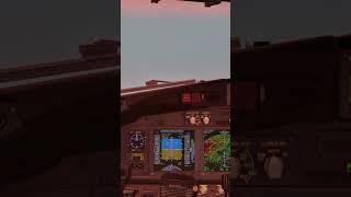 B737-800 TCAS TA Alert  #xplane12 #aviation #xplane