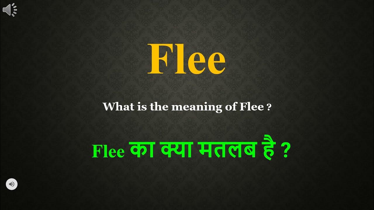 Flee Meaning In Hindi Flee Ka Kya Matlab Hota Hai Daily Use English flee-meaning-in-hindi-flee-ka-kya-matlab-hota-hai-daily-use-english