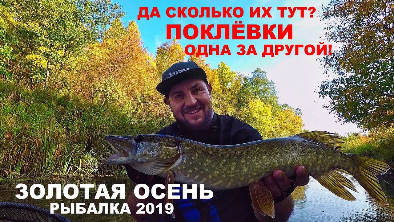Твичинг на оке