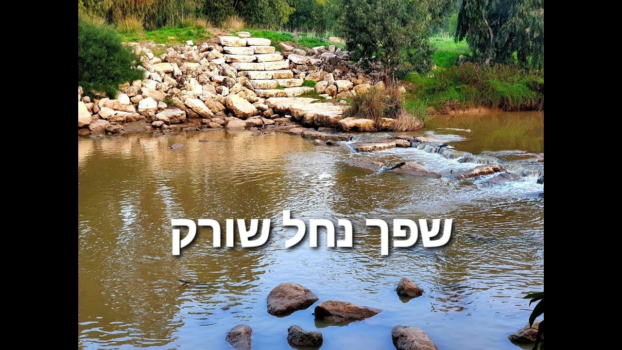 שפך נחל שורק