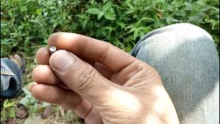 Akurasi High Speed Mmis Samyang Pcp Mauser Multy Speed Laras Pilihan