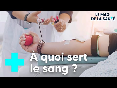 Tout savoir sur le sang (en 381 secondes) - Le Magazine de la Santé