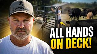 🐮 ALL HANDS ON DECK! Getting the Corral Ready to Move & SELL Our Cattle! 🚜