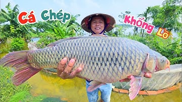 Xuất Hiện Cơn Mưa Lớn Nước Tràn Vào Nhà Tranh Và Thả Lưới Được Cá Chép Siêu To Khổng Lồ / Quế Nghịch