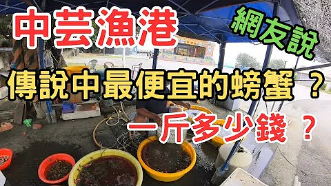 〔中芸渔港〕传说中最便宜的螃蟹？特殊的三脚虎补渔作业方式，在这渔港里有最便宜的螃蟹可买？要一起来找找看？比价看看吗？ - 天天要闻