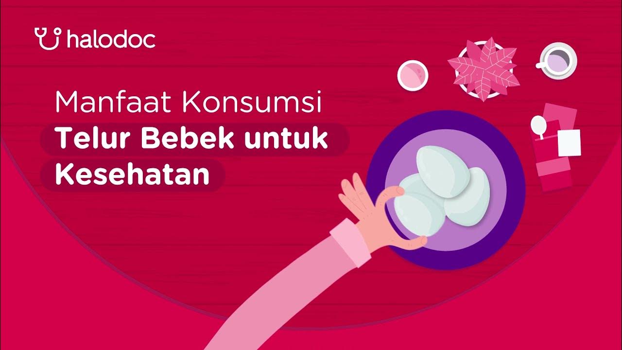 Manfaat Konsumsi Telur Bebek untuk Kesehatan YouTube