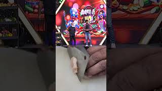 Bread and Chicken #mmplus