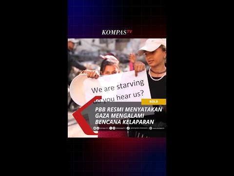 PBB RESMI MENYATAKAN GAZA ALAMI BENCANA KELAPARAN #short