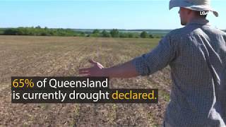 Drought across Queensland 2019