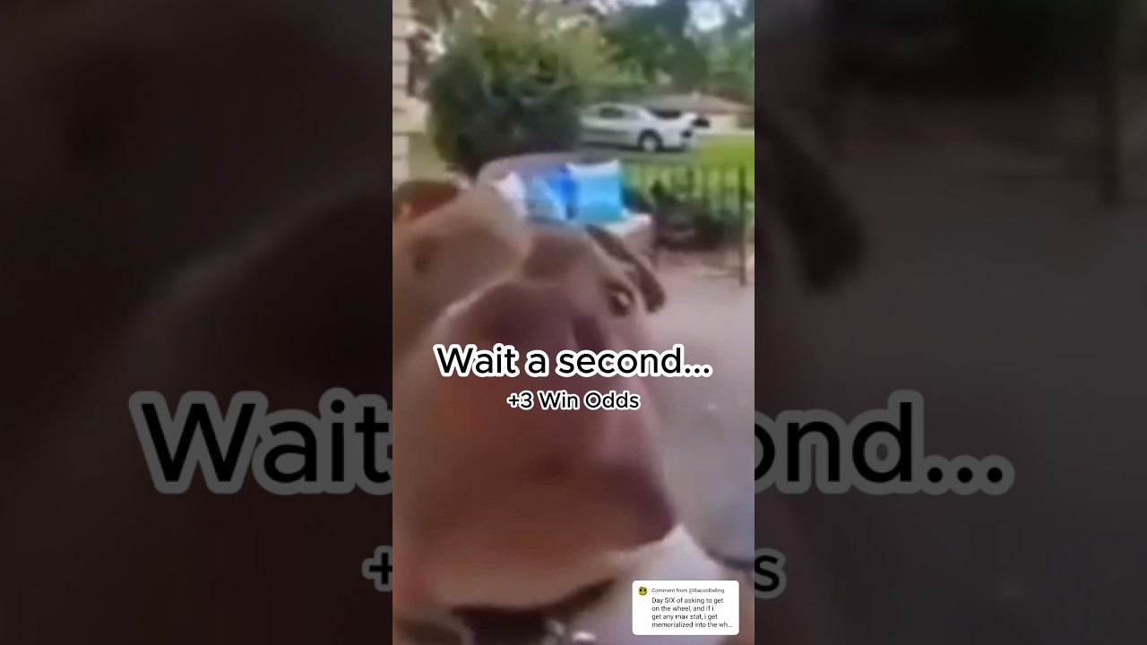 Jujutsu Kaisen Wheel Spin | Episode 22 (Final)