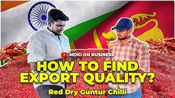 How to find EXPORT quality? - Dry Red Guntur Chilli | Moki on Business #export #chilli