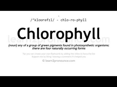 Pronunciation of Chlorophyll | Definition of Chlorophyll