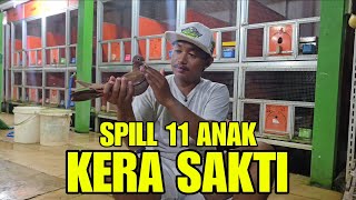Download Lagu SPILL 11 ANAK MERPATI KERA SAKTI MP3
